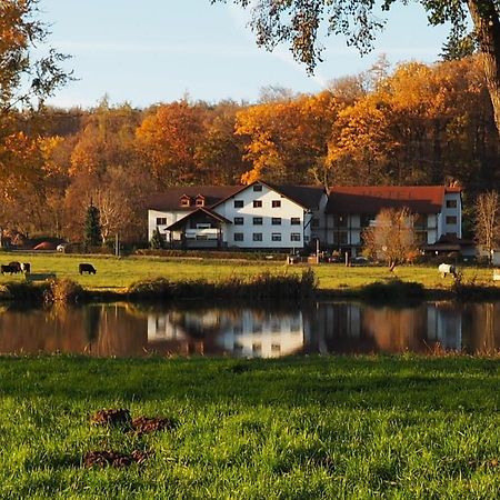 Landgasthof Rotlipp Gaestezimmer Ortenberg  Ngoại thất bức ảnh