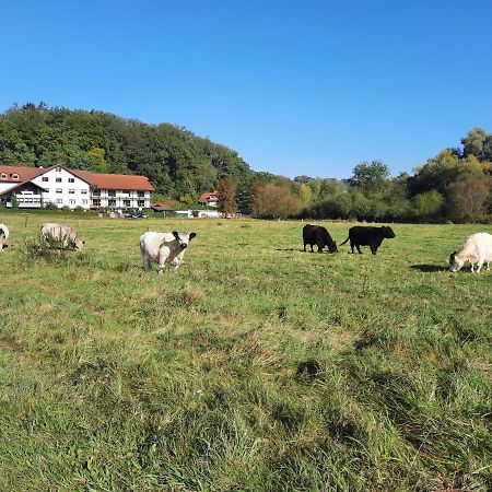 Landgasthof Rotlipp Gaestezimmer Ortenberg  Ngoại thất bức ảnh