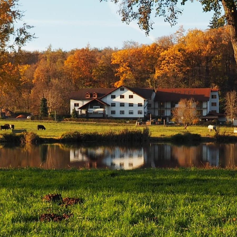 Landgasthof Rotlipp Gaestezimmer Ortenberg  Ngoại thất bức ảnh